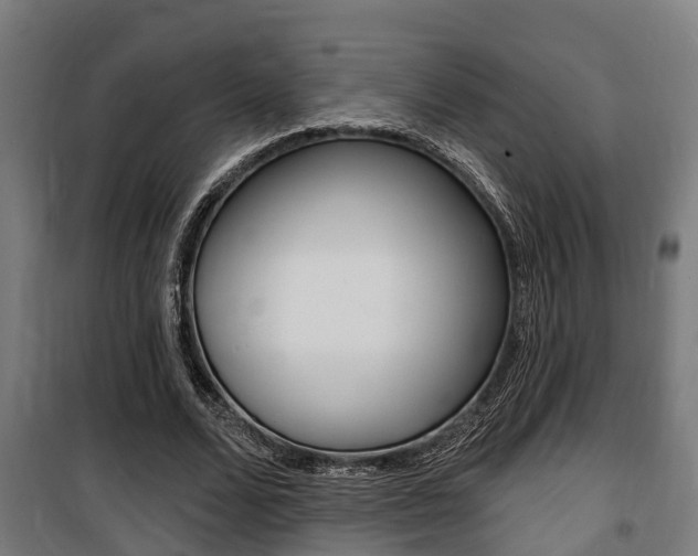 X0000100840680200806200739