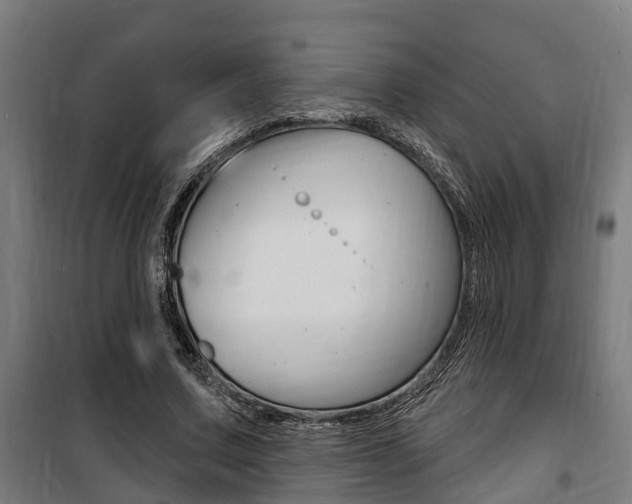 X0000100840683200806200739