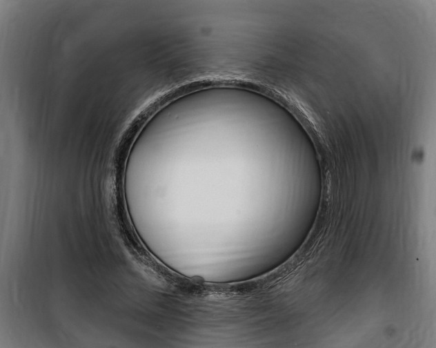 X0000100840684200806200739