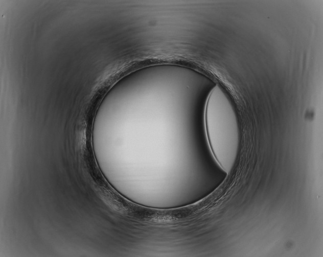 X0000100840685200806200739