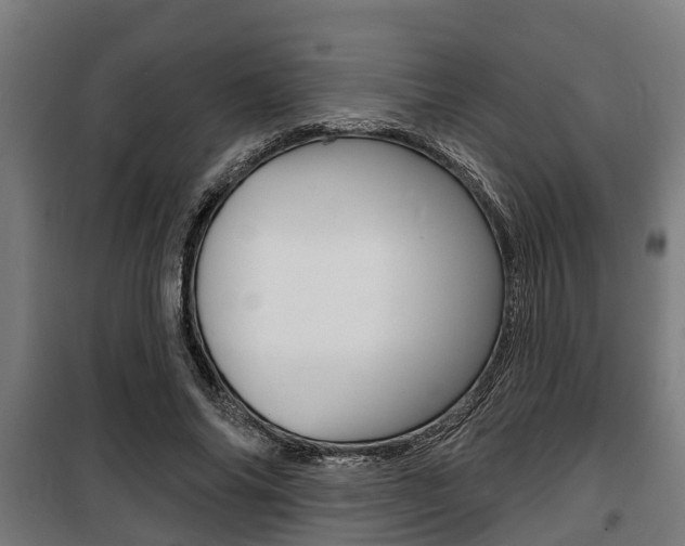 X0000100840686200806200739