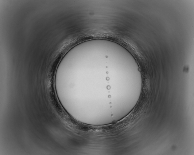 X0000100840687200806200739