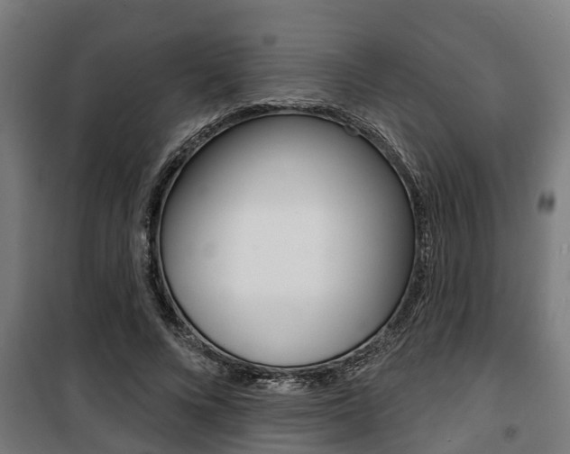 X0000100840688200806200739