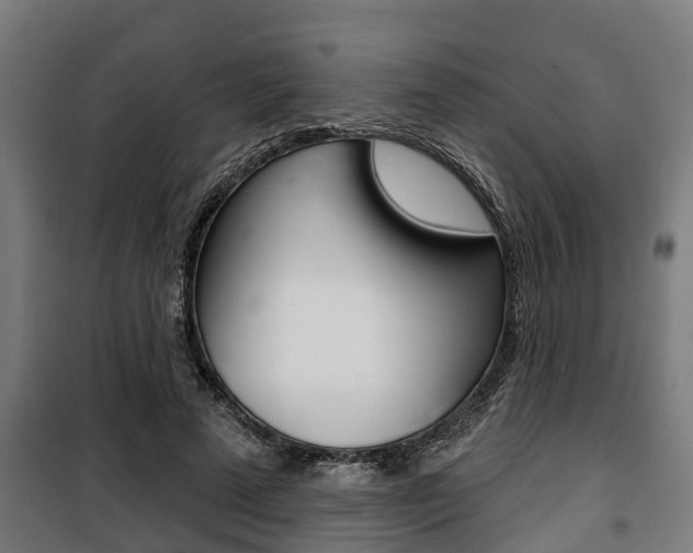 X0000100840689200806200739