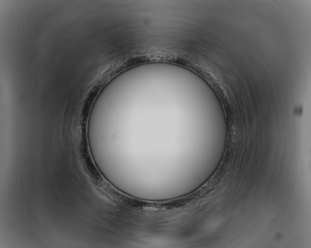 X0000100840690200806200739