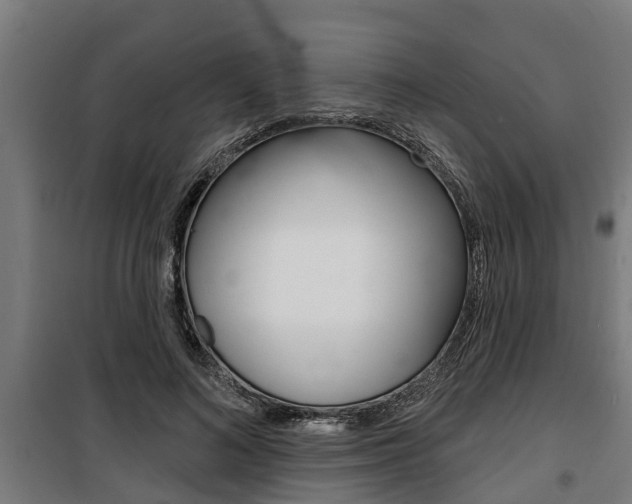 X0000100840692200806200739