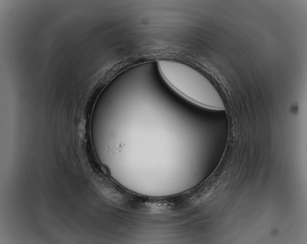 X0000100840693200806200739