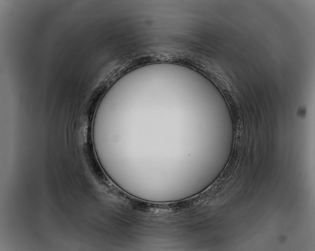 X0000100840694200806200739