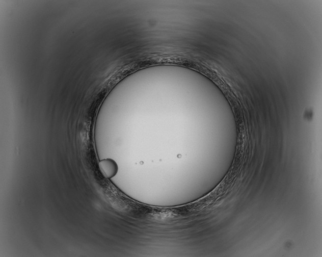 X0000100840695200806200739