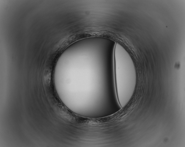 X0000100840697200806200739