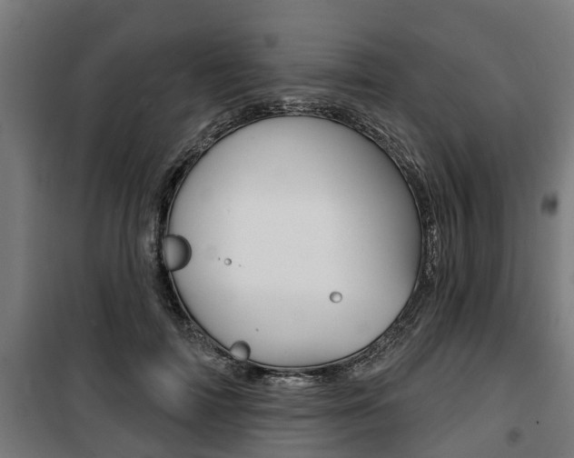 X0000100840698200806200739