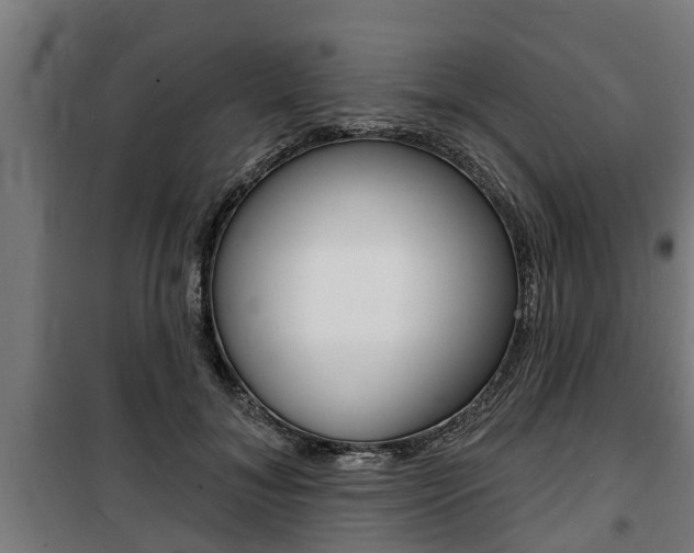 X0000100840700200806200739