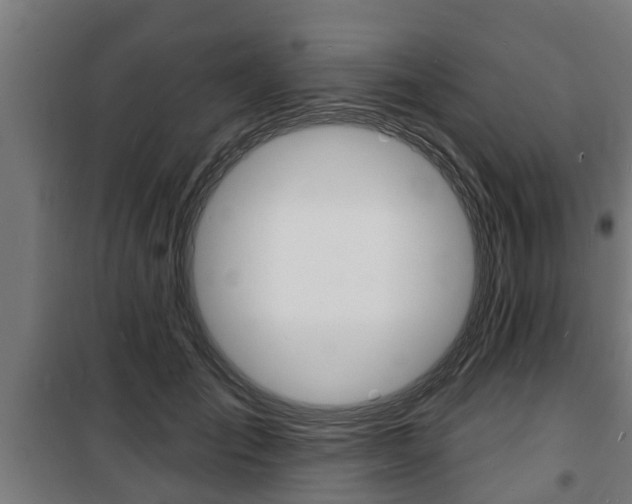 X0000100840701200806200739