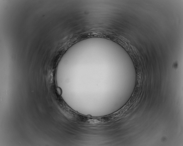 X0000100840703200806200739