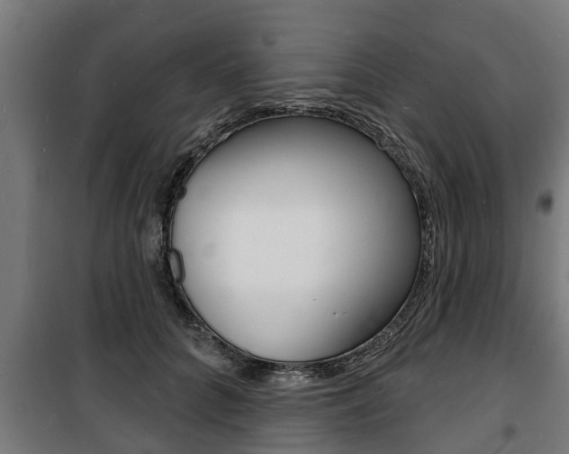 X0000100840704200806200739