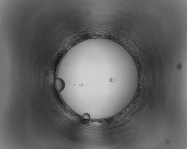 X0000100840706200806200739