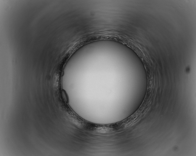 X0000100840708200806200738