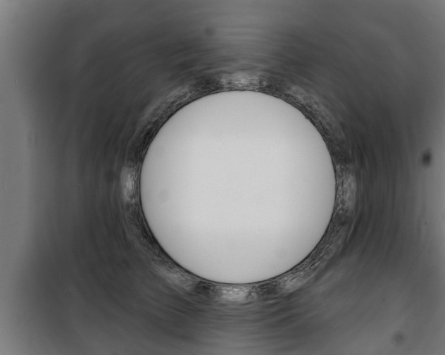 X0000100840709200806200738