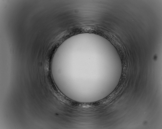 X0000100840710200806200738