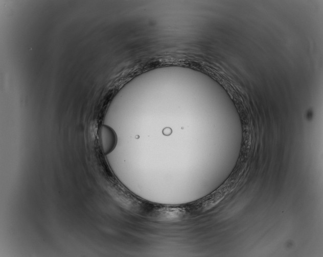 X0000100840711200806200738