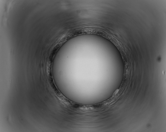 X0000100840712200806200738