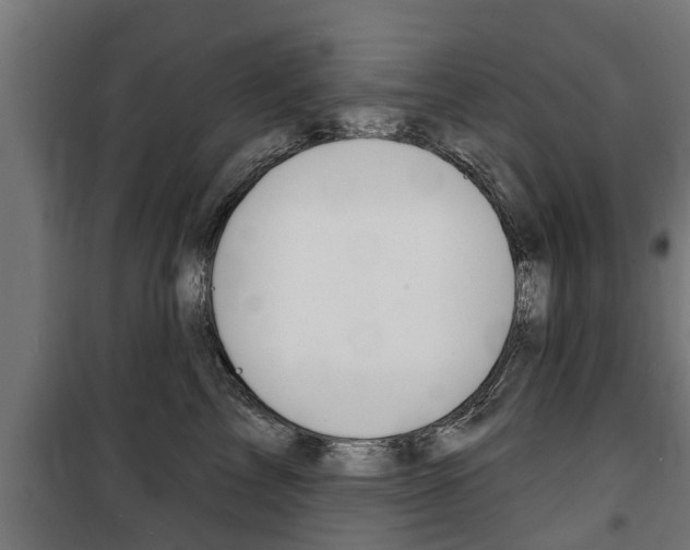 X0000100840713200806200738