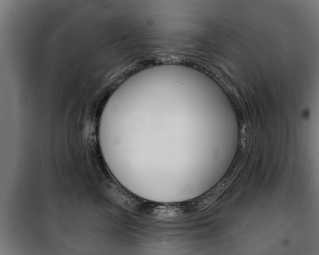 X0000100840714200806200738