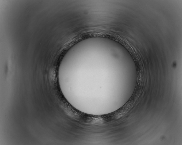 X0000100840715200806200738