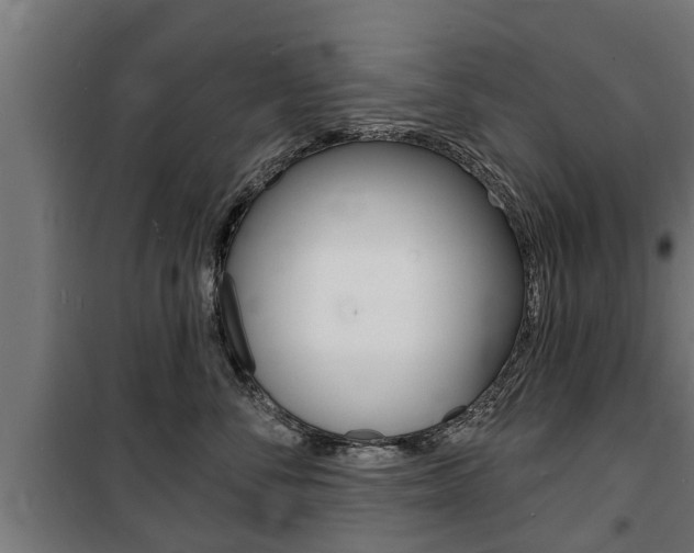 X0000100840716200806200738