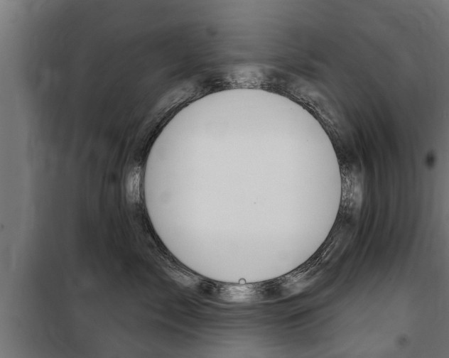 X0000100840717200806200738