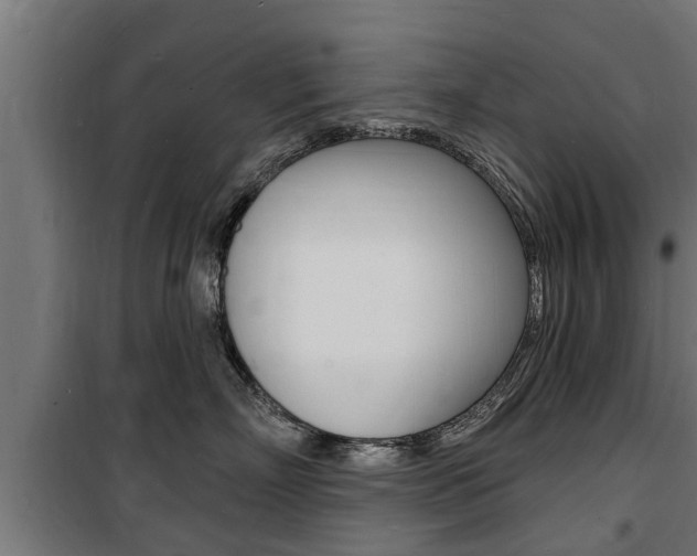 X0000100840718200806200738