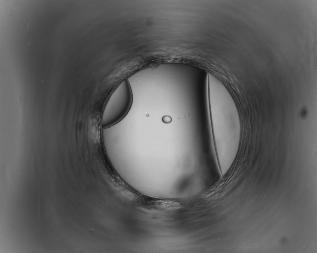 X0000100840719200806200738