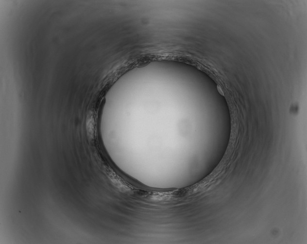 X0000100840720200806200738