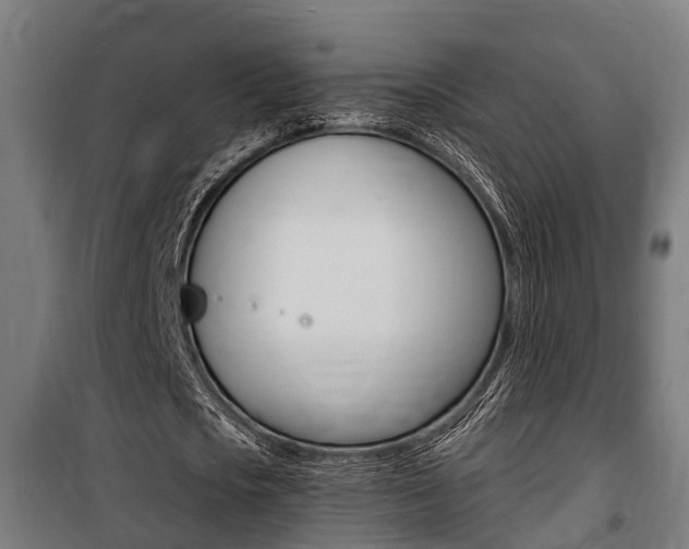 X0000100840721200806200737