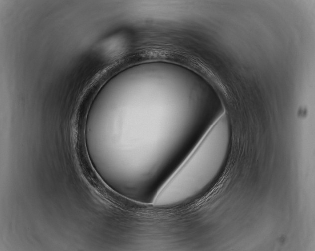 X0000100840722200806200737