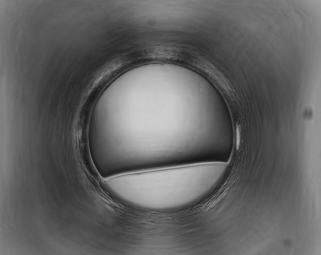 X0000100840723200806200738