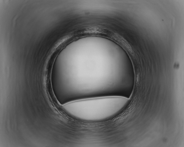 X0000100840724200806200738