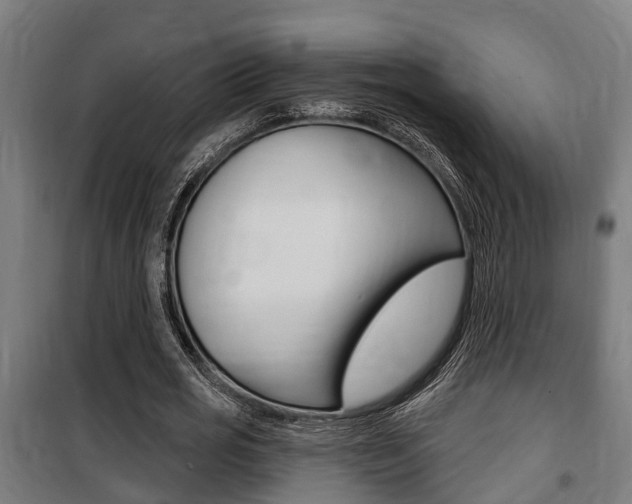 X0000100840725200806200738