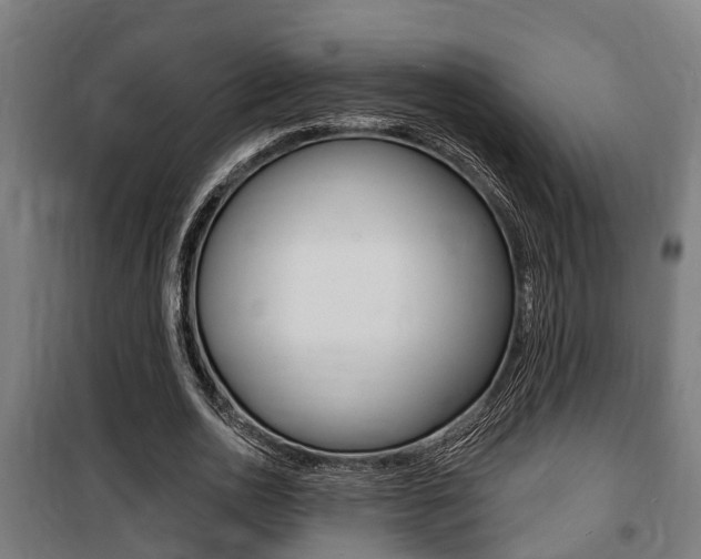 X0000100840726200806200738