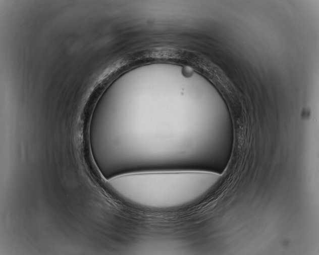 X0000100840727200806200738