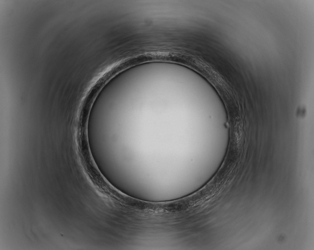 X0000100840728200806200738