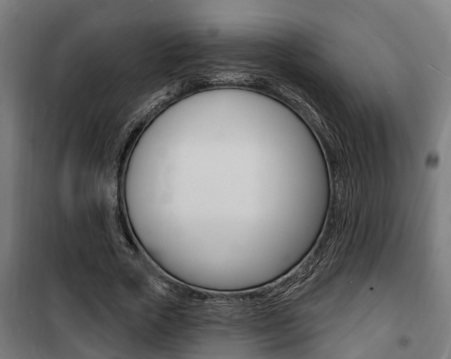 X0000100840729200806200738