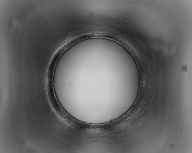 X0000100840730200806200738