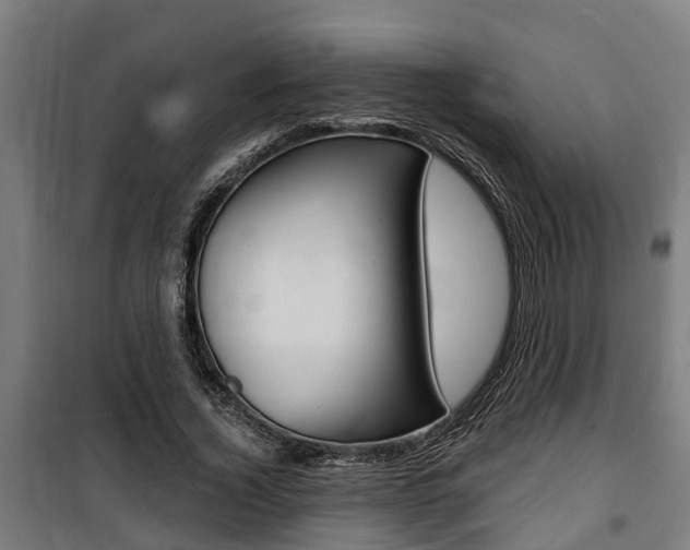 X0000100840732200806200738