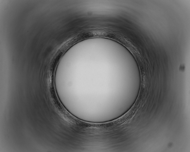 X0000100840733200806200738