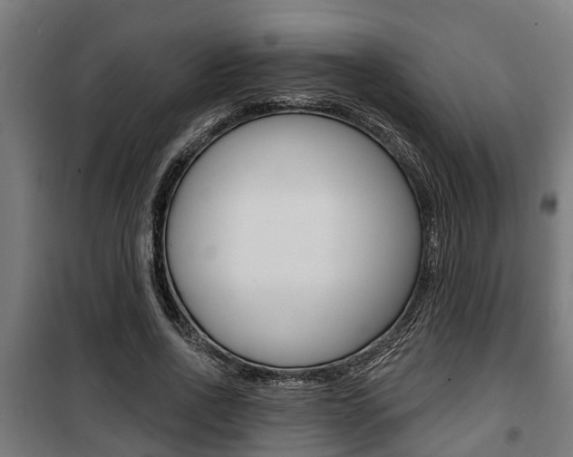 X0000100840734200806200738