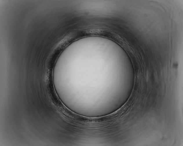 X0000100840735200806200738