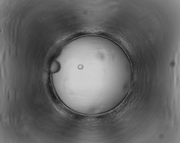 X0000100840736200806200738