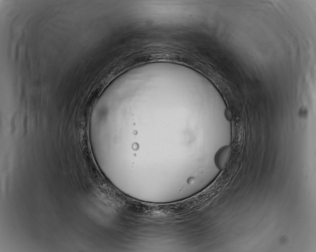 X0000100840737200806200738