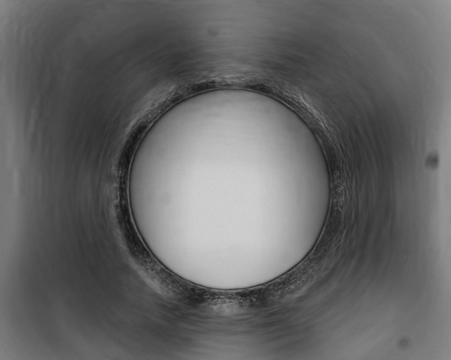 X0000100840738200806200738